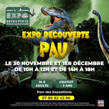 Expo à but, ludique et pédagogique pour les enfants. À partir de trois ans, vous découvrez des reproductions de dinosaures pour certains réels animations et documentaire tout au long de la journée.