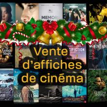 vente affiche cinema melies pau