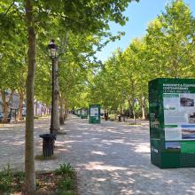 Exposition urbaine « Terrains de jeux, le patrimoine sportif de Pau »