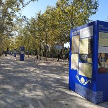 Exposition urbaine « Terrains de jeux, le patrimoine sportif de Pau »