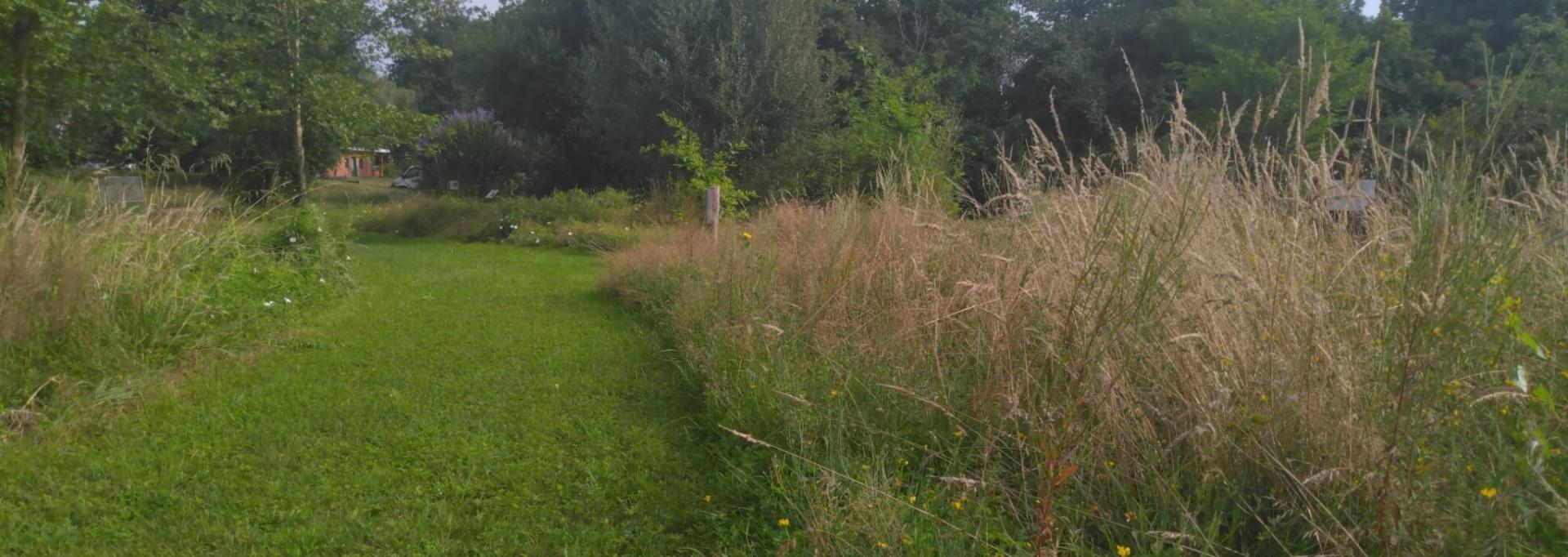 la gestion différenciée des espaces verts