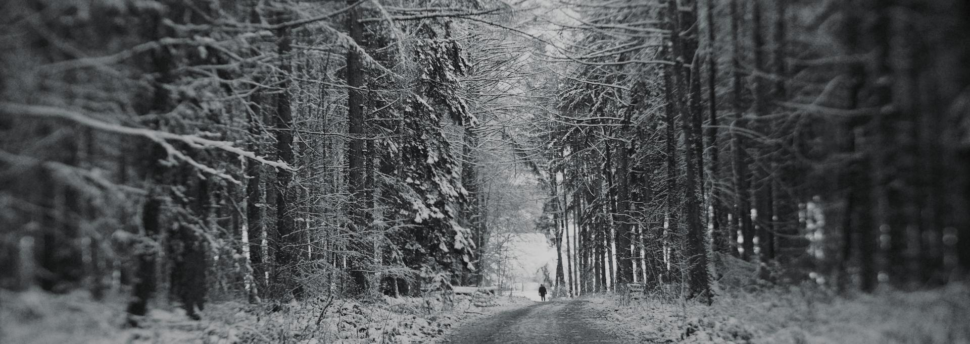 Sur le chemin des glaces / Bruno Geslin