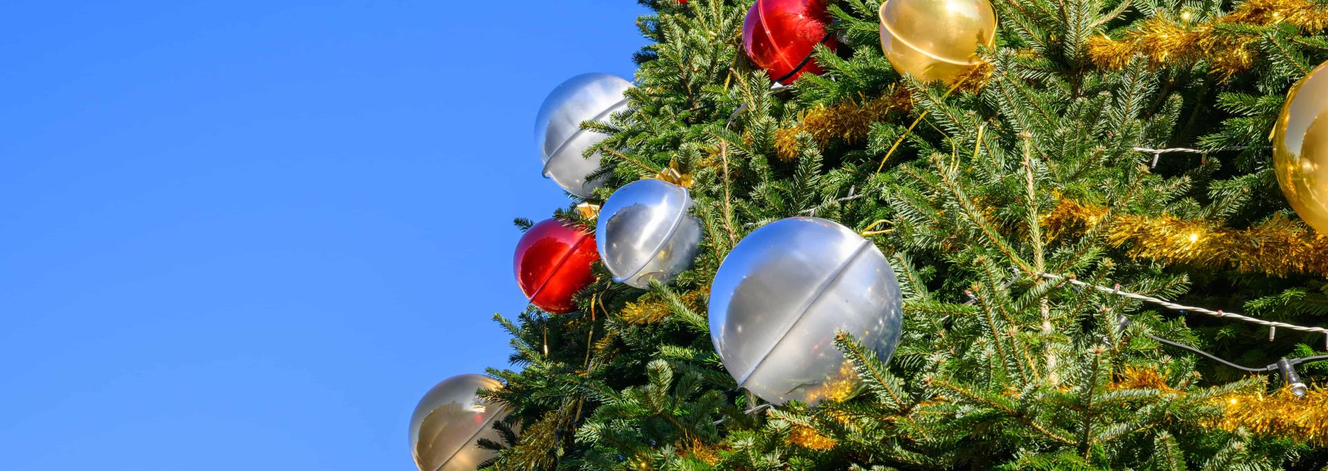 Le sapin géant de place Royale