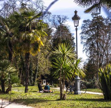 Le parc Beaumont et ses palmiers 