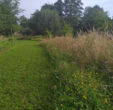 la gestion différenciée des espaces verts