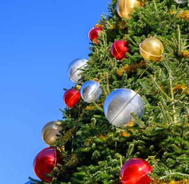 Le sapin géant de place Royale