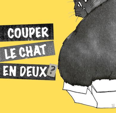 visuel couper le chatr en deux