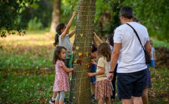 groupe d'enfants autour d'un arbre 