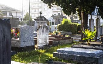 Cimetière de Pau 