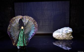 La théorie de Darwin à la manière d'Isabella Rossellini au théâtre Saint-Louis