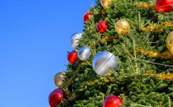 Le sapin géant de place Royale