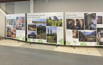 Exposition au carreau des halles