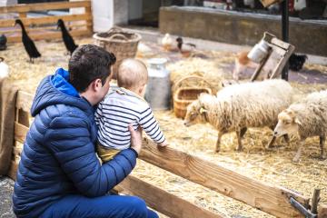 Les animations de Noël dans les rues commerçantes du centre-ville