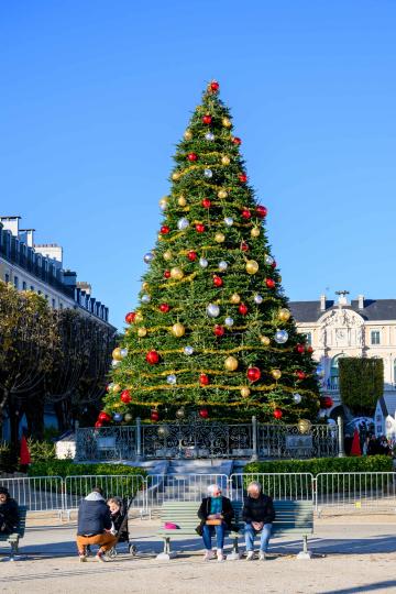 Le sapin géant de place Royale