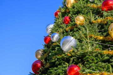 Le sapin géant de place Royale