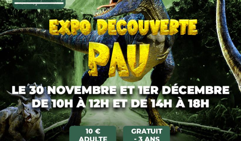 Expo à but, ludique et pédagogique pour les enfants. À partir de trois ans, vous découvrez des reproductions de dinosaures pour certains réels animations et documentaire tout au long de la journée.