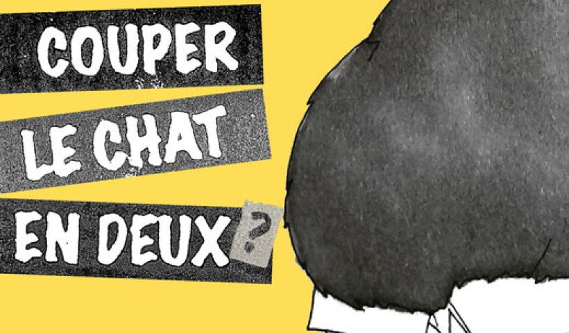 Visuel couper le chat en deux